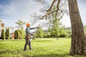 Best Arborist Consultation Services  in Brooksville, MS